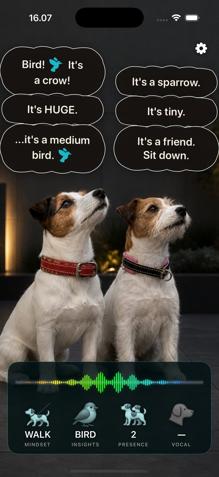 Overbark interface reacting to a dog watching a bird