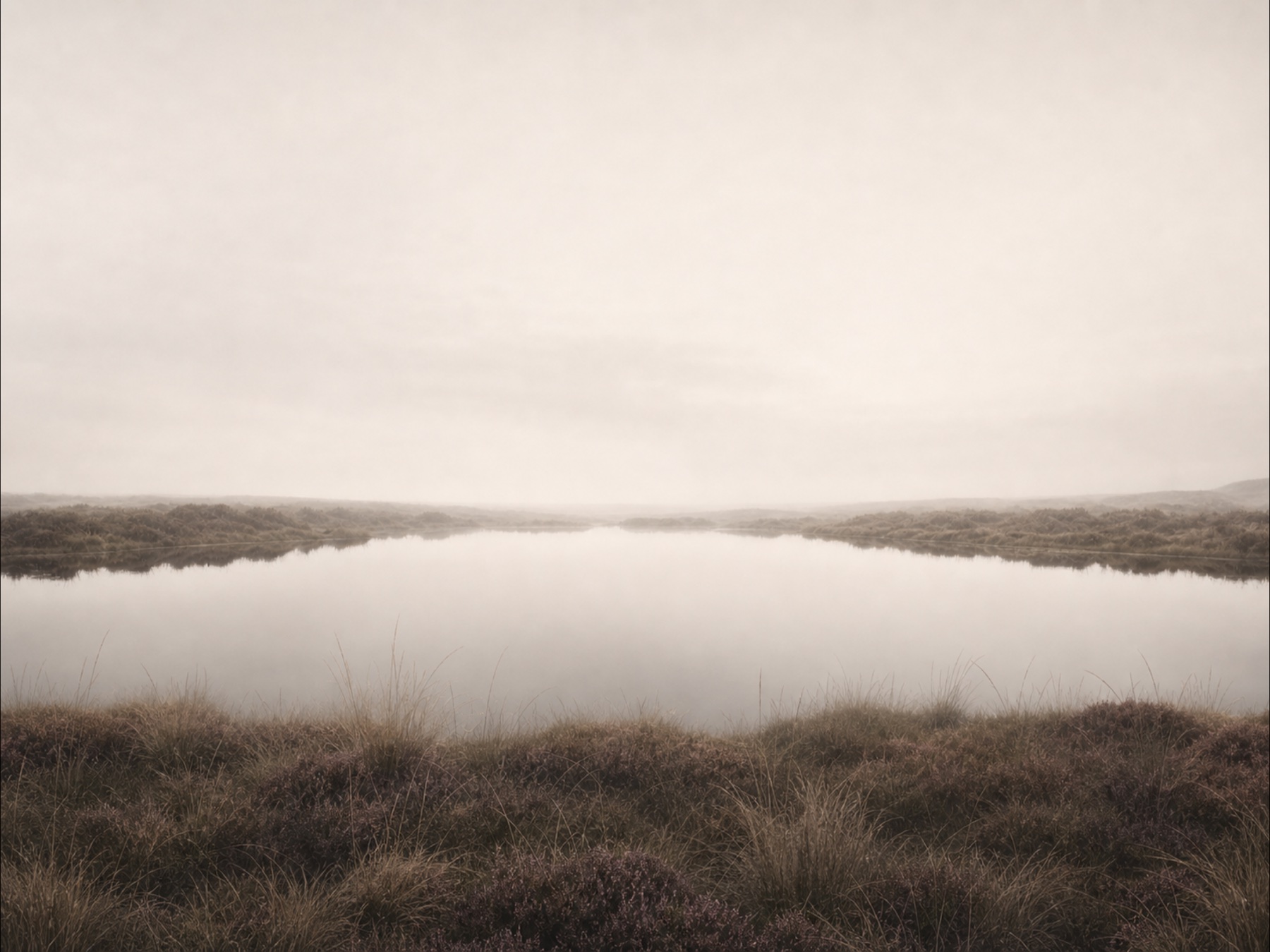 A secluded moorland pool surrounded by muted heather